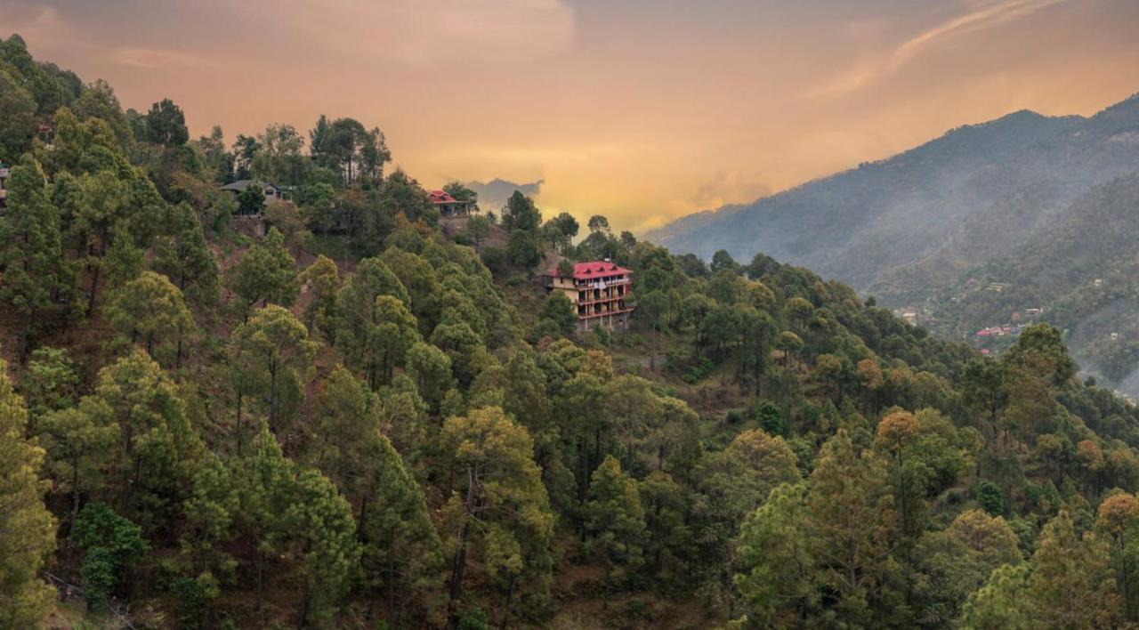 Host Jatin Kasauli Pine Villa 7Oi827O7O3 Εξωτερικό φωτογραφία